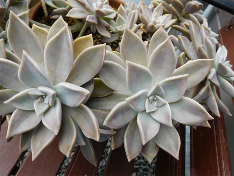 DSCN9937