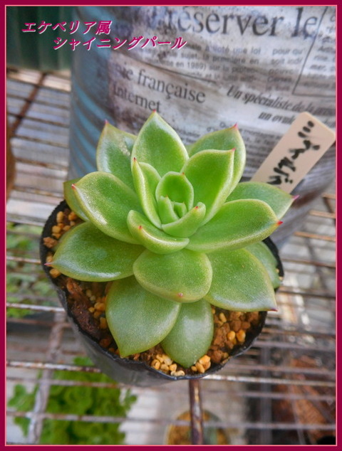 DSCN1157