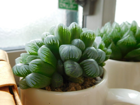 DSCN0200