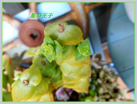 DSCN9810