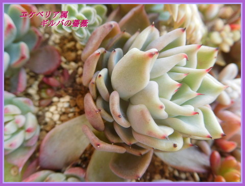 DSCN1795[1]