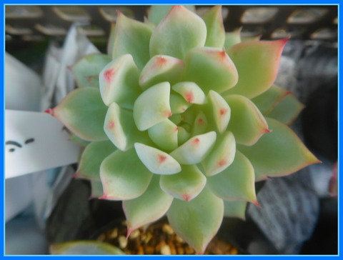 DSCN9869