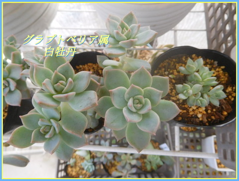 DSCN0470