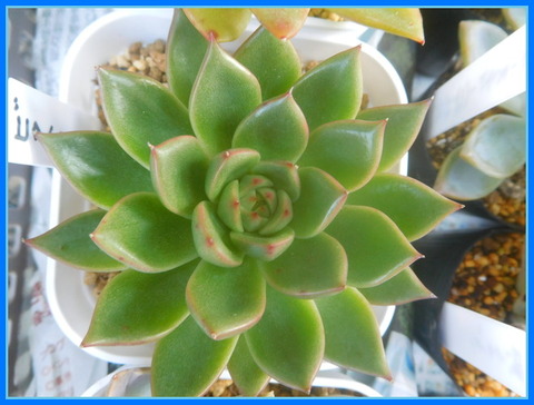 DSCN9873