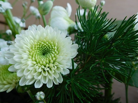 RSCN3828