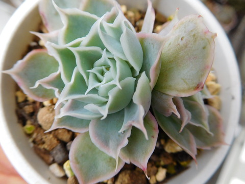 DSCN0970