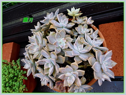 DSCN1367