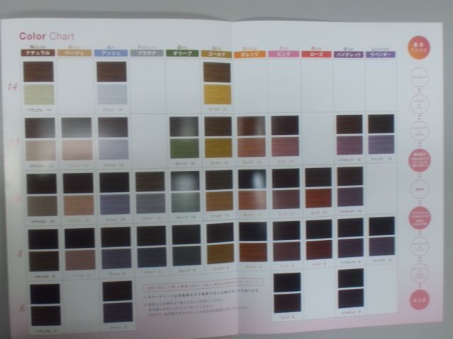 ストア インターコスメ インフィット イルミアントカラー1剤90g