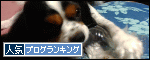 人気ブログランキング(シシマル)