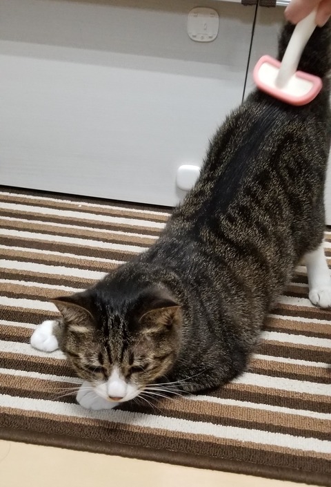 タイトルなし