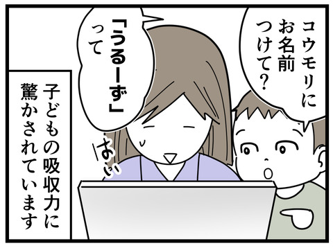 6-5