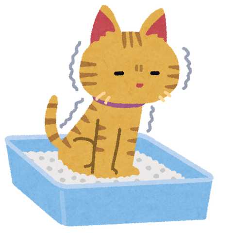 pet_nekosuna