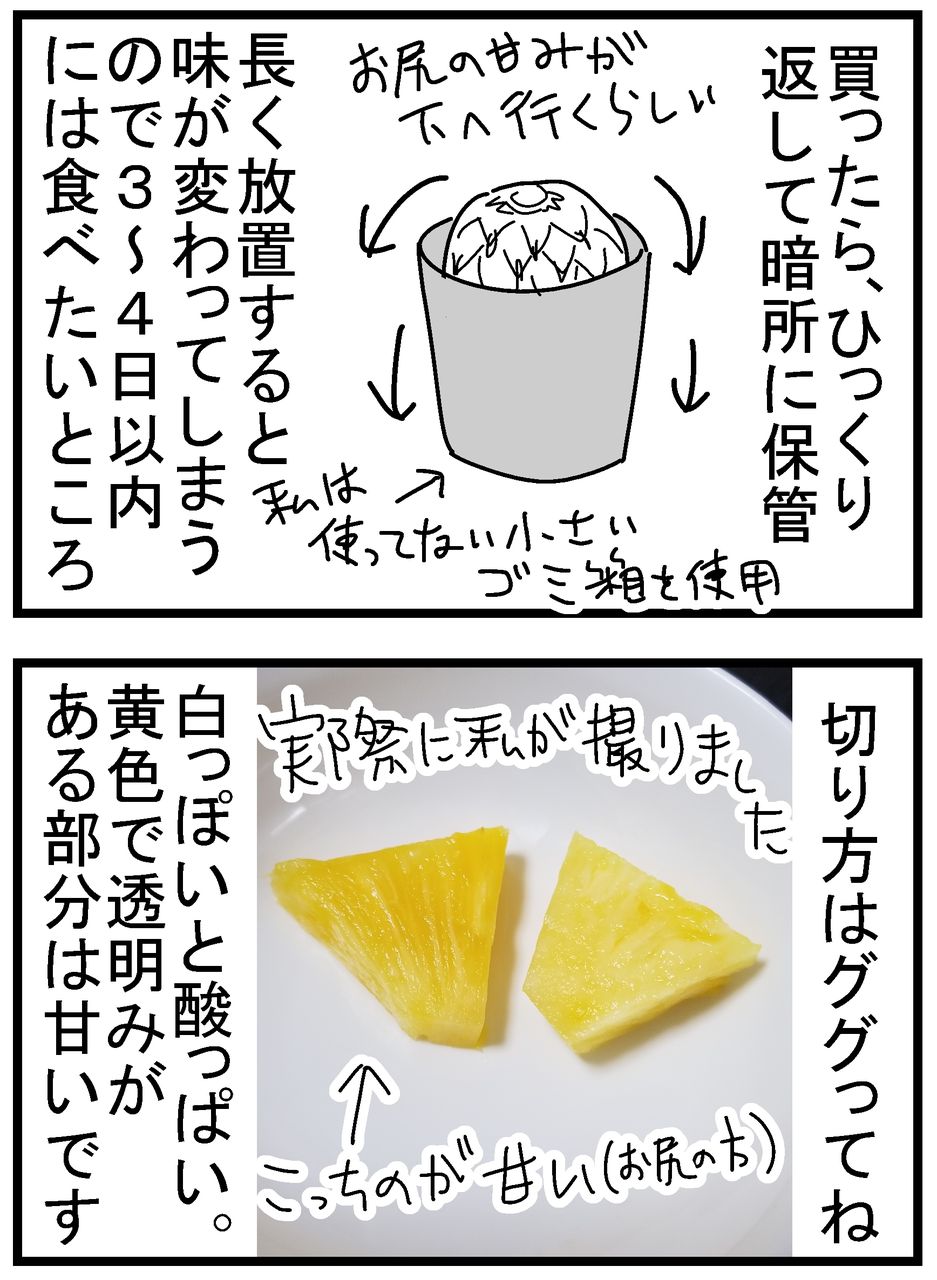 美味しいパイナップルの見分け方 千曲がり奮闘記 紆余曲折の育児記録 Powered By ライブドアブログ