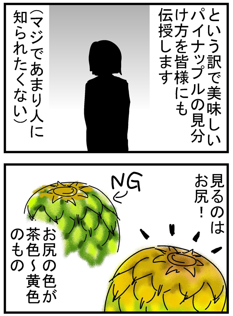 美味しいパイナップルの見分け方 千曲がり奮闘記 紆余曲折の育児記録 Powered By ライブドアブログ