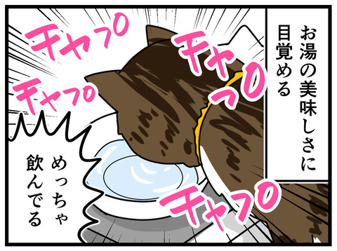 5-4