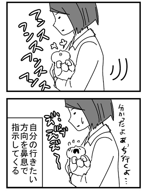 子育ネタ902