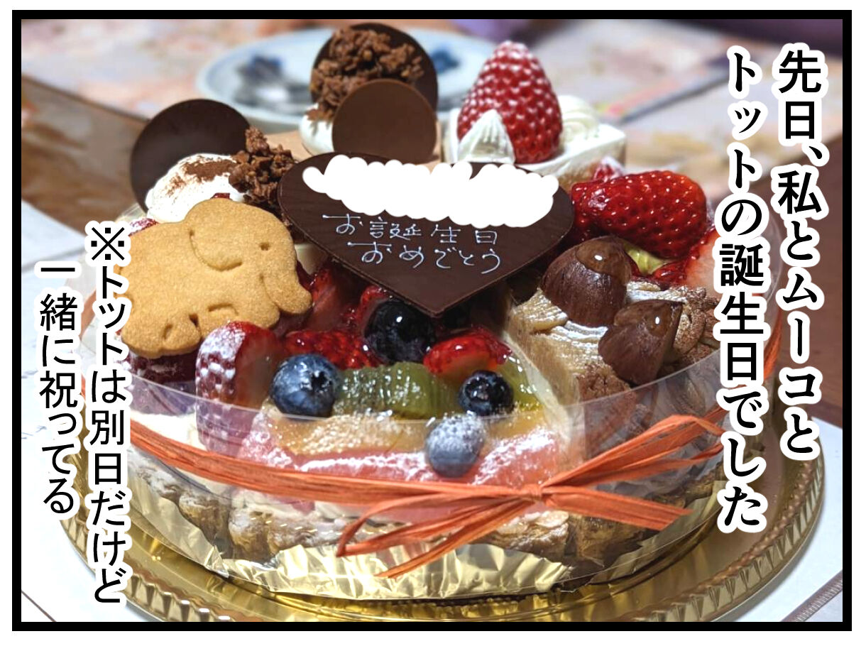 ムギメンコちゃんページ ムーコ8歳の誕生日でした : 千曲がり奮闘記～紆余曲折の育児記録