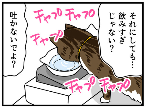 5-6