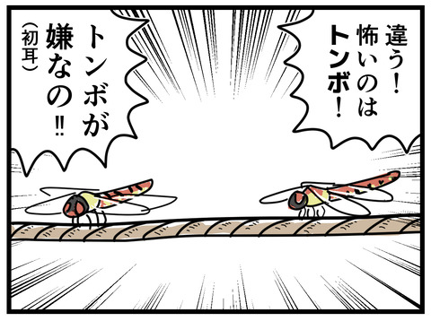 20-4
