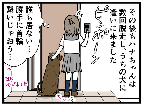 223-6