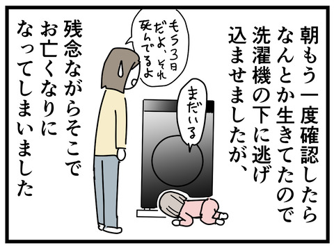 129-6