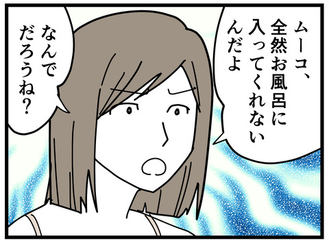 354-3