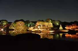 DSC00240