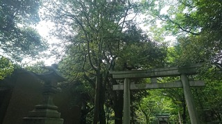 [����:390fa022-s.jpg]