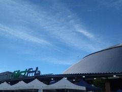 DSC_4993