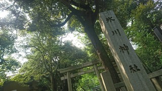 [����:5fe6dbb4-s.jpg]
