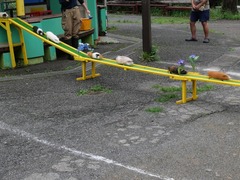 01011736