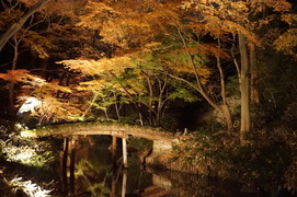 DSC00230