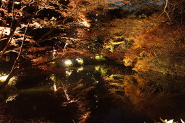 DSC00232