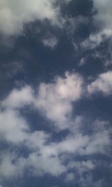 d11f03e2.jpg