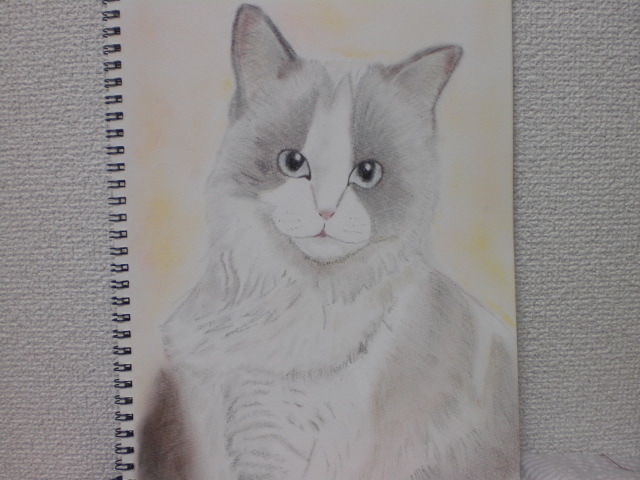 猫の絵を描く その２ ちくわがたまに絵を描くブログ