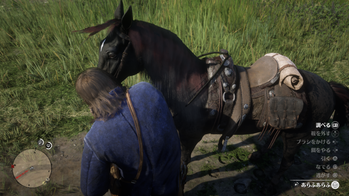 【馬】オープンワールドゲームの馬、どいつもこいつもアホすぎ問題