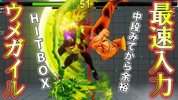 ガイル ヒットボックス