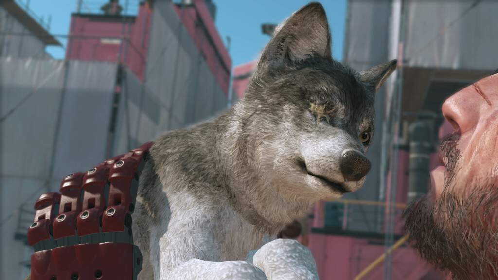 悲報 犬を相棒にできるゲーム ガチで存在しない Eスポーツキャッチ 悲報 犬を相棒にできるゲーム ガチで存在しない Eスポーツキャッチ