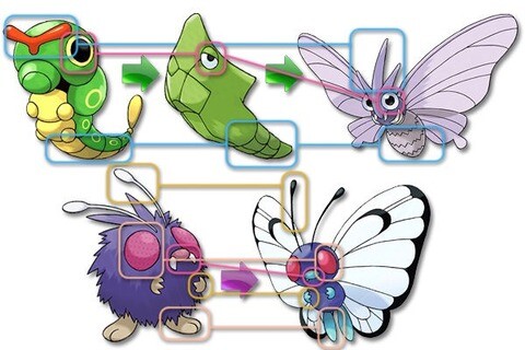 ポケモンのバタフリーとモルフォンが入れ替わった説ってマジだよな ゲームだらだら速報 ポケモンのバタフリーとモルフォンが入れ替わった説ってマジだよな ゲームだらだら速報