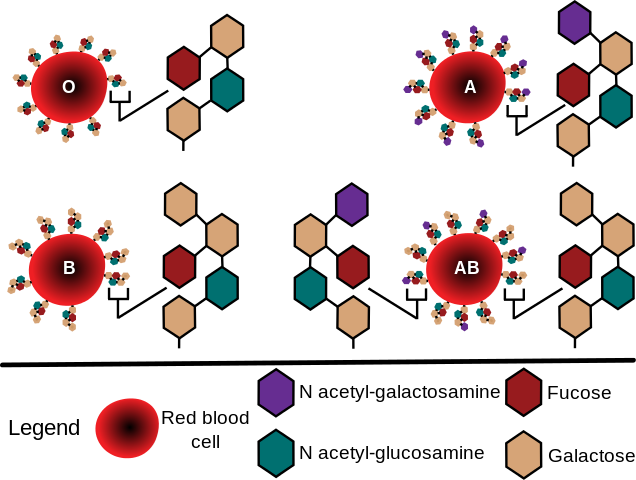 6 14 今日は何の日 チル菜び