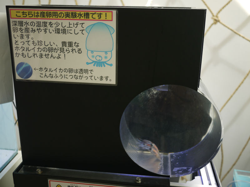 イメージ 13