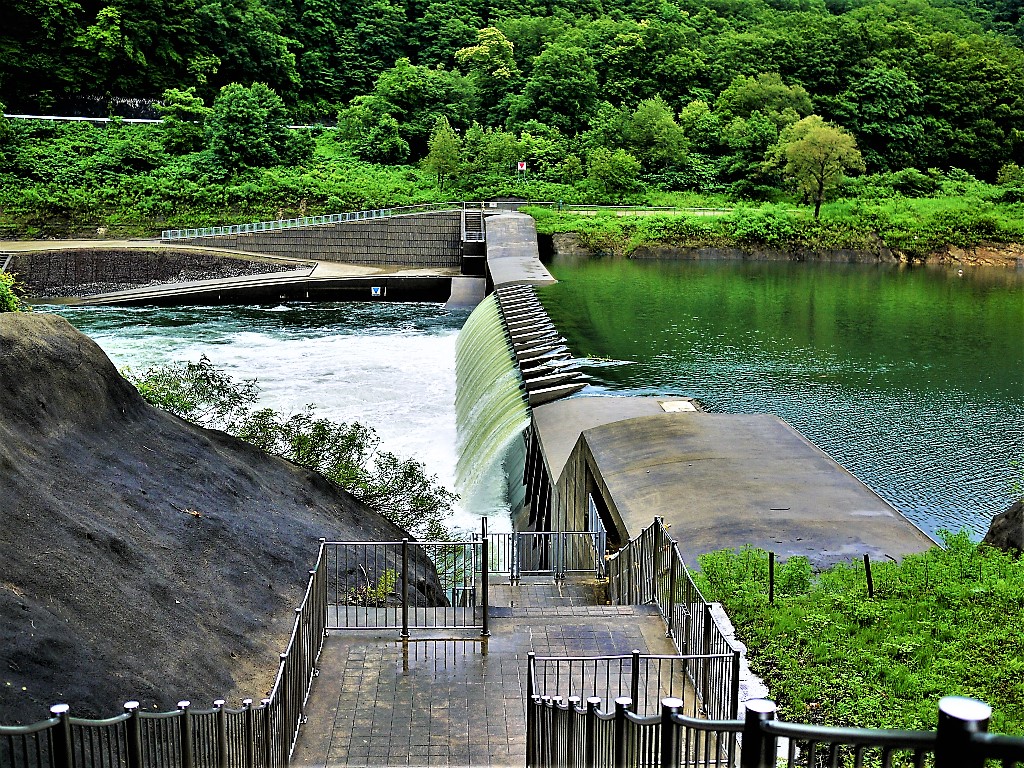 湯田貯砂ダムへ チル菜び
