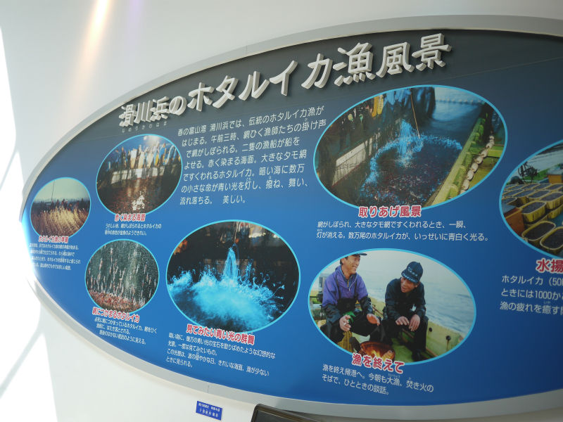 イメージ 6