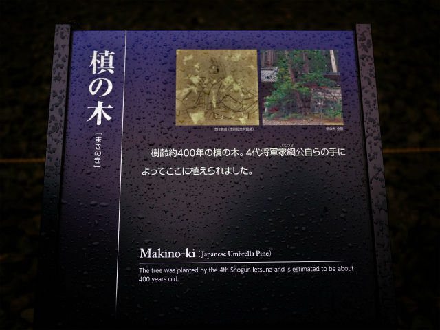 イメージ 12