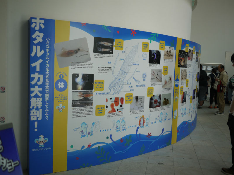 イメージ 7