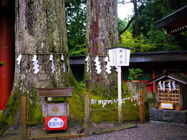 イメージ 8