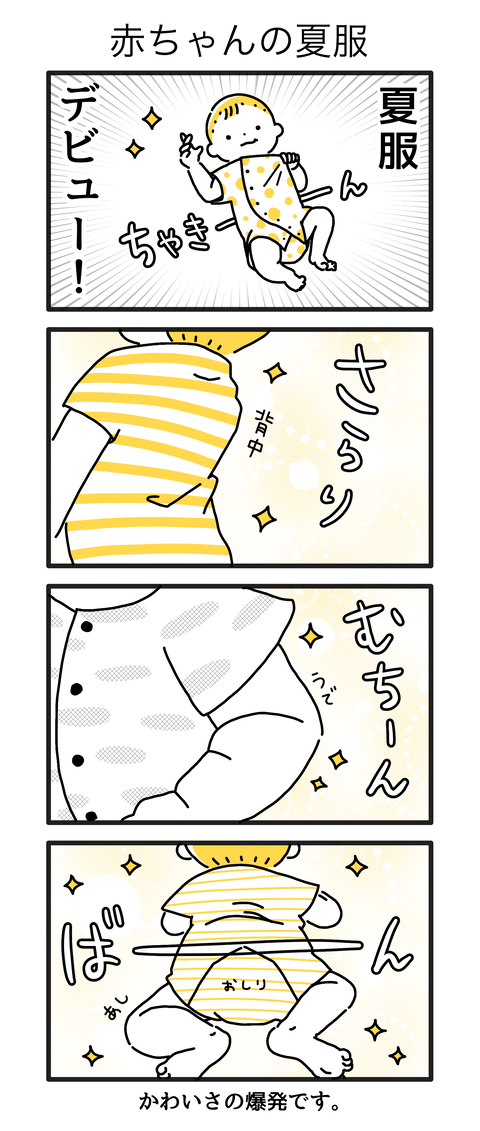 3か月11