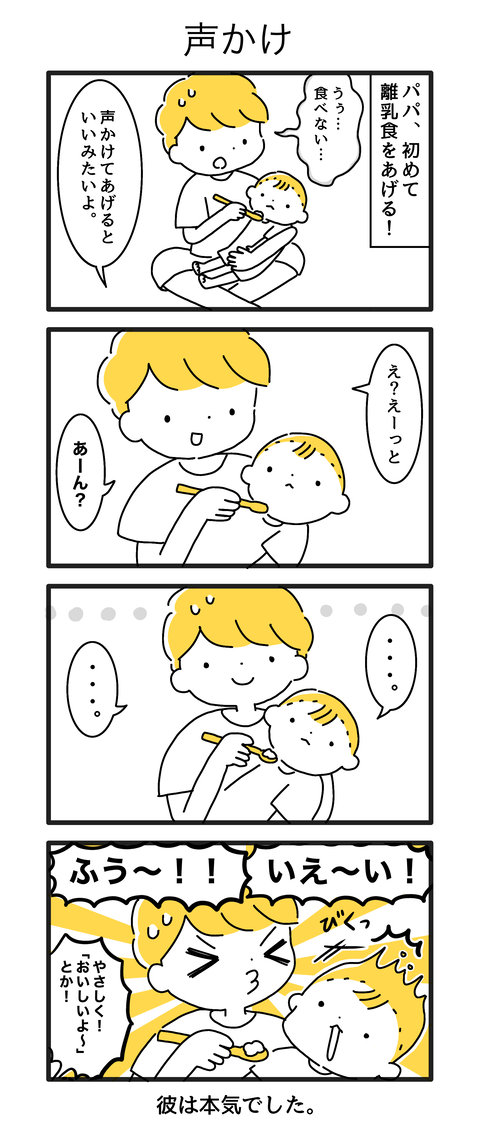5か月11