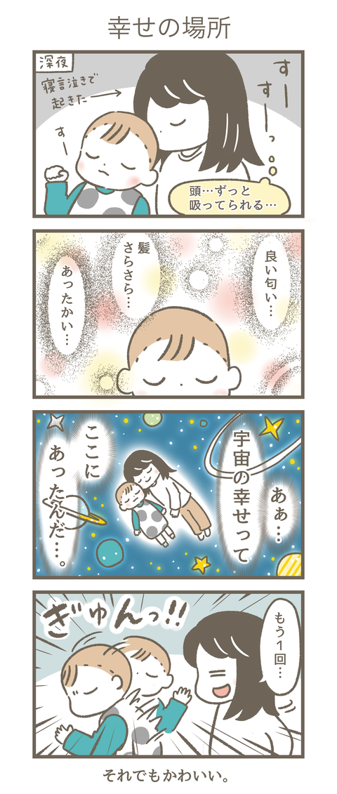 9か月11