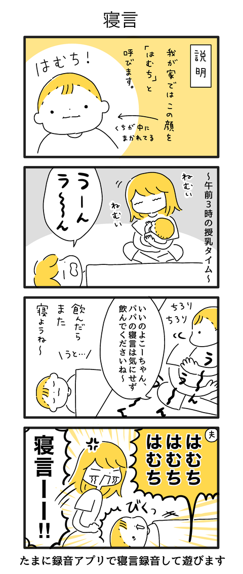6か月1